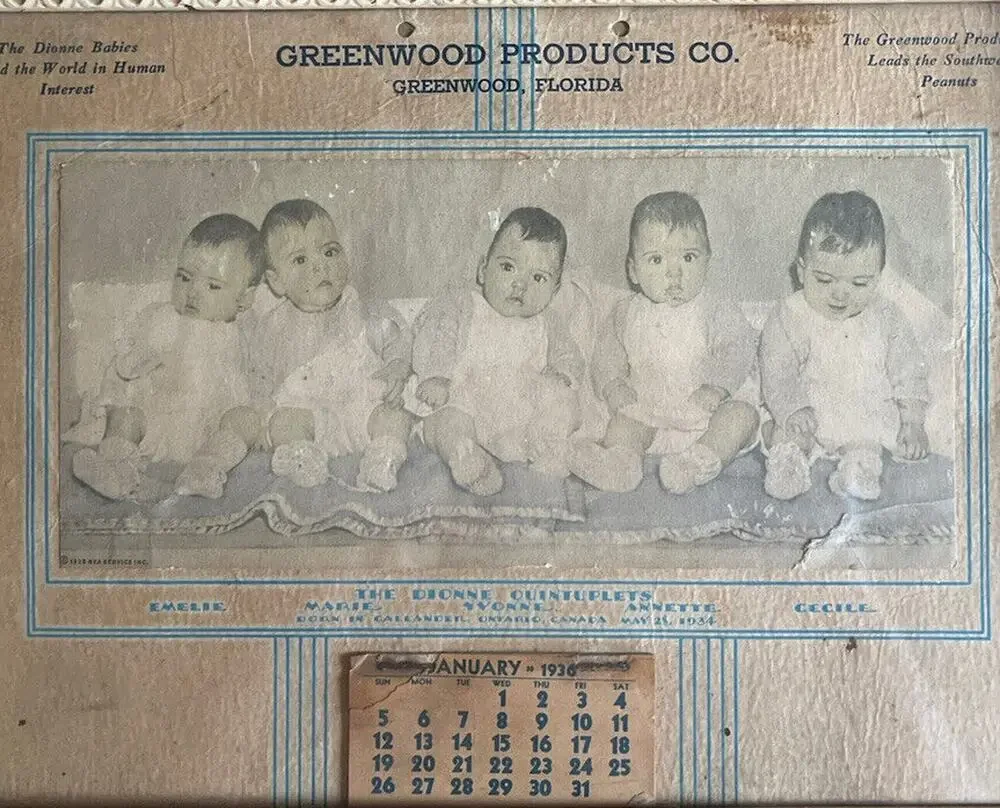 Dionne Quintuplets Vintage 1936 Advertising Calendar With Picture & Names Framed